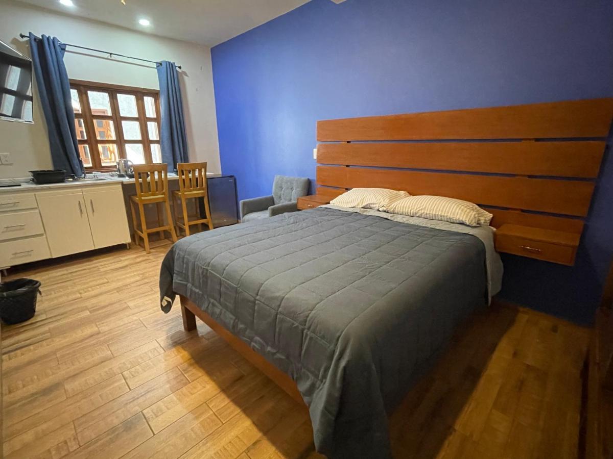 Apartament Casa El Arte De Frida San Miguel de Allende Zewnętrze zdjęcie
